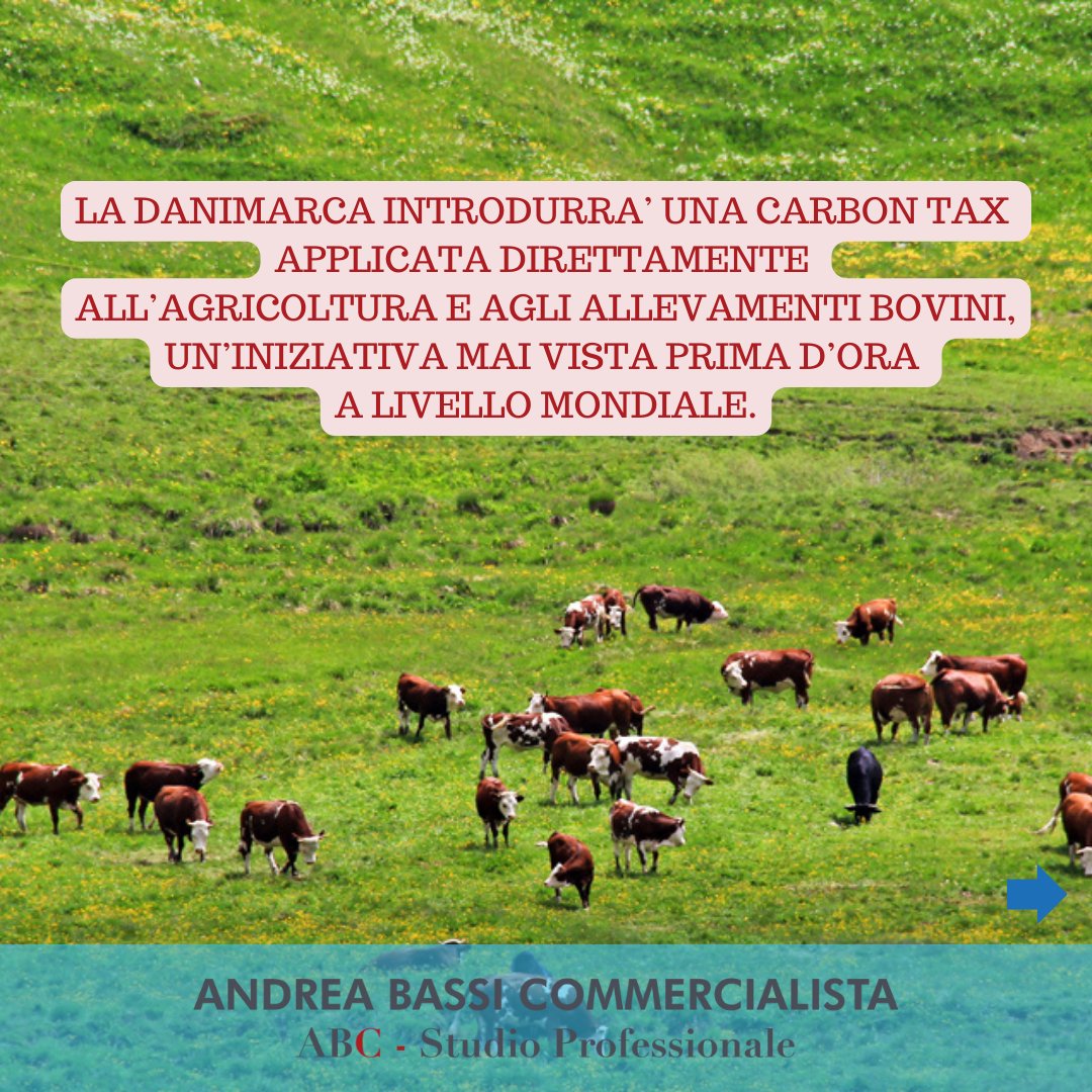 andreabassi00's tweet photo. CARBON TAX SUI BONVINI https://t.co/tTTXIb9ClK