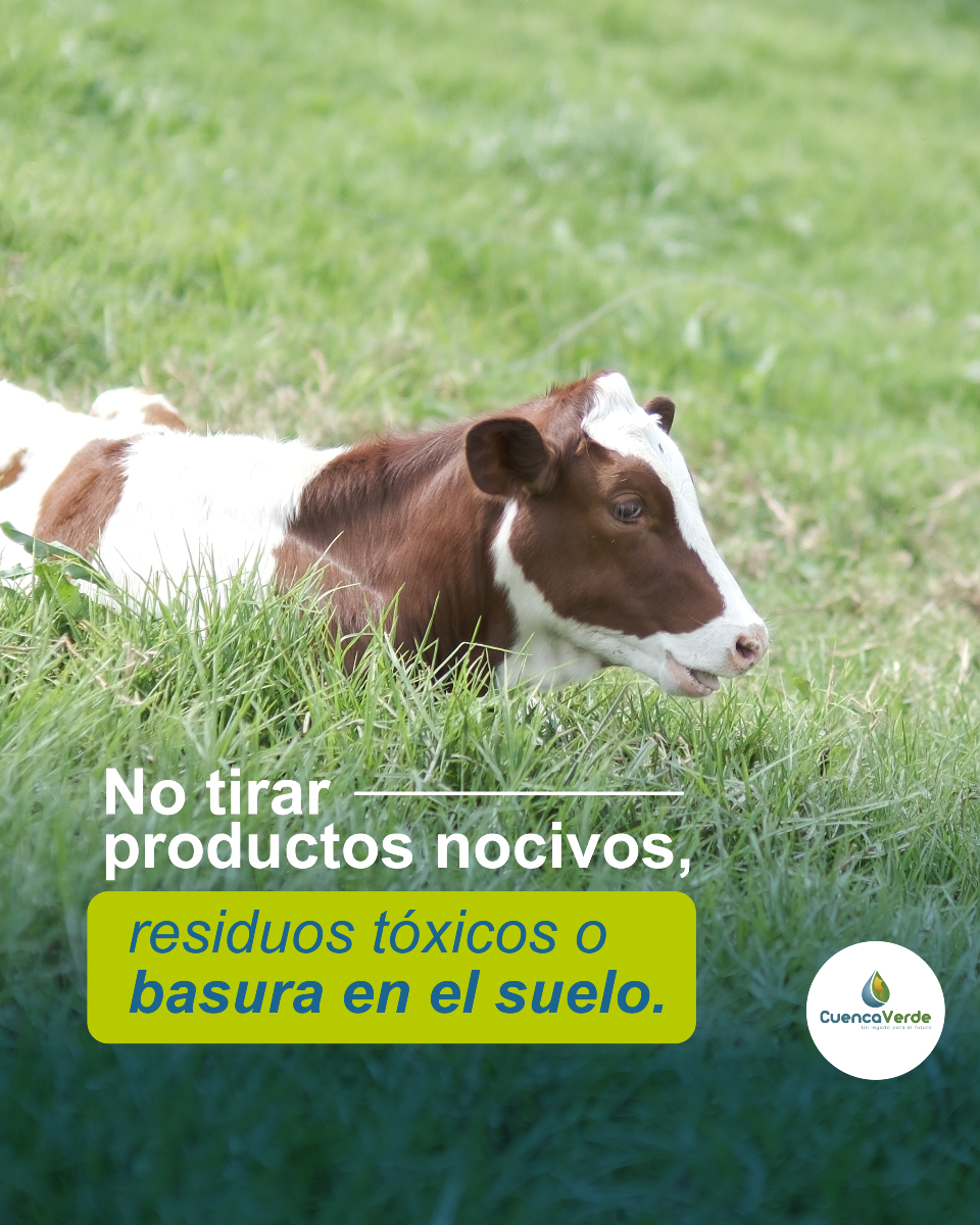 CuencaVerde tweet media