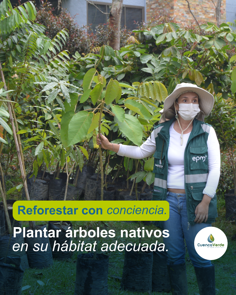 Descubre cómo podemos contribuir a la conservación del suelo y promover su cuidado. Juntos podemos marcar la diferencia en la protección de nuestro suelo y del medio ambiente. 💚

#ConservaciónDelSuelo #Reforestación #CuidadoAmbiental #Sostenibilidad