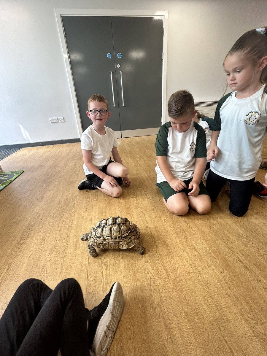 Year2OMG's tweet photo. George the tortoise 🐢 was very friendly! Some of us even held the snake! 🐍 https://t.co/rMx0LjdoL4