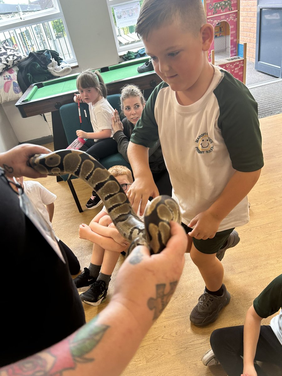 Year2OMG's tweet photo. George the tortoise 🐢 was very friendly! Some of us even held the snake! 🐍 https://t.co/rMx0LjdoL4