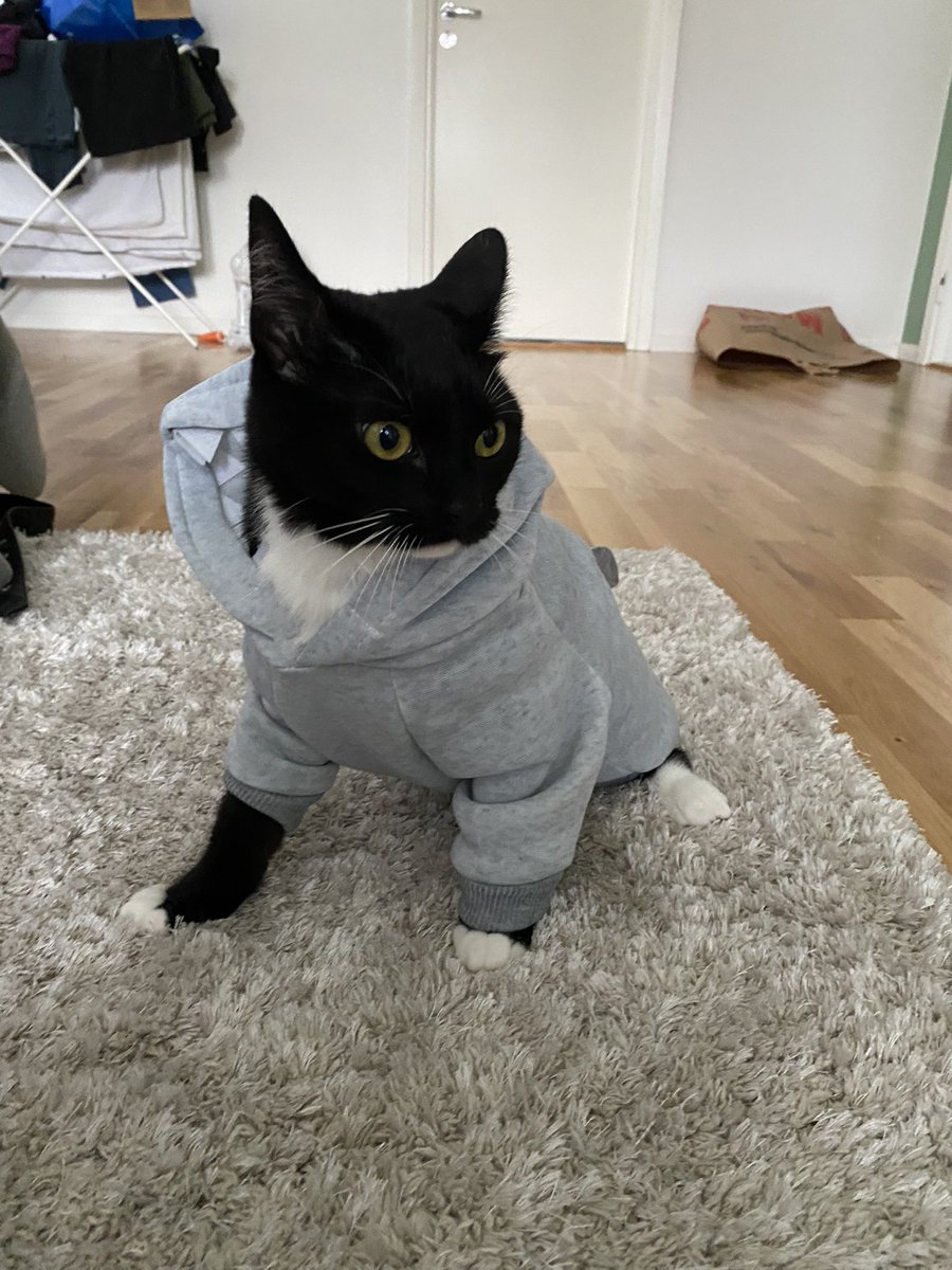 wingsofthv's tweet photo. i bought them hoodies what do we think pt2 https://t.co/qLxx1FhDuI