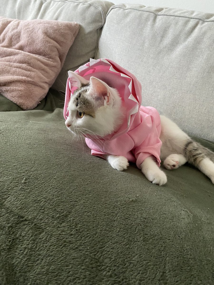 wingsofthv's tweet photo. i bought them hoodies what do we think pt2 https://t.co/qLxx1FhDuI
