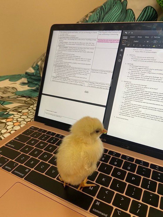 ContextBirds's tweet photo. https://t.co/Sz9r66f8WS