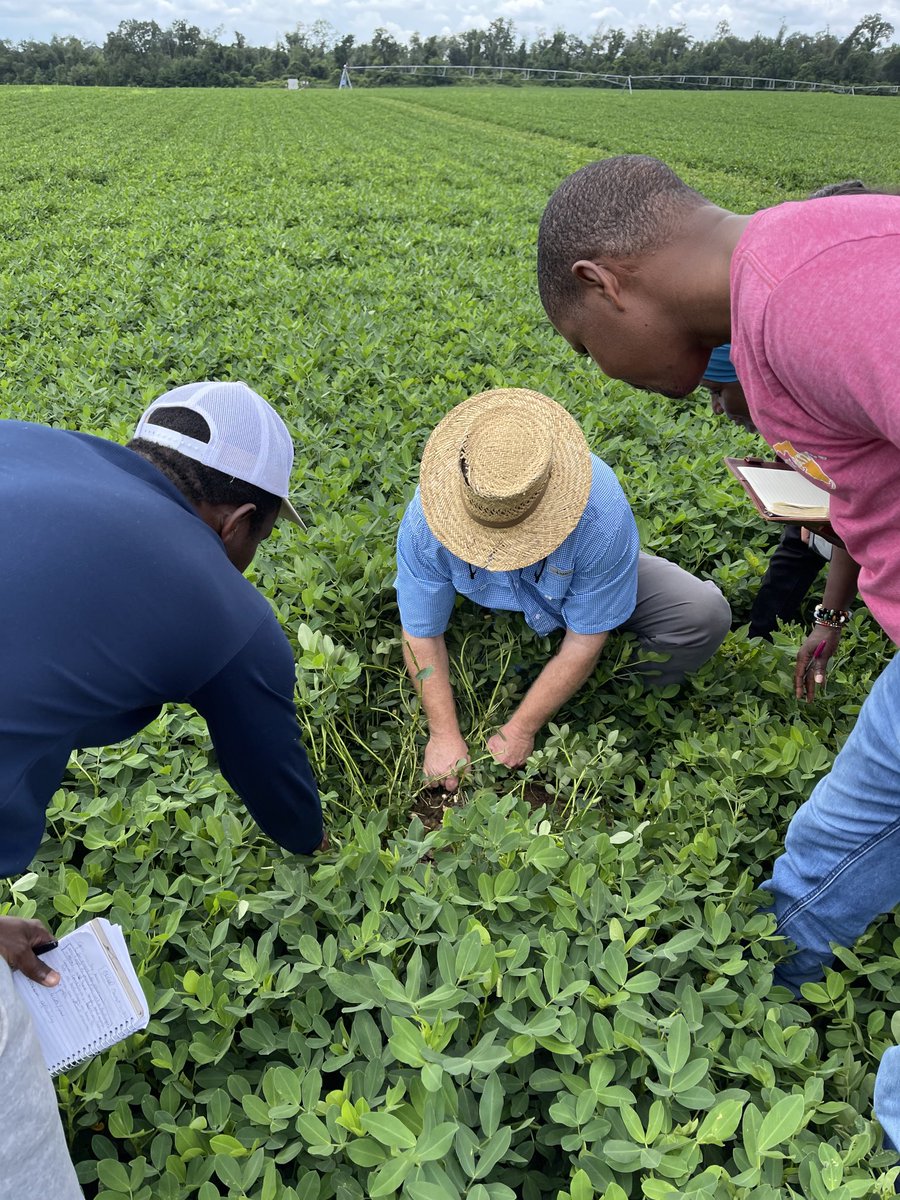 dubeux's tweet photo. Thank you so much to Jeff Pitman and family for hosting our group today! It was a world-class tour of cropping systems in the Southeast.Thanks also for the great hospitality! ⁦@UF_IFAS⁩ ⁦@nutridairy⁩ ⁦@UF_IFAS_GFSI⁩ ⁦@UFIFASAgronomy⁩ ⁦@ufifasnfrec⁩ https://t.co/wGgJviWwW4