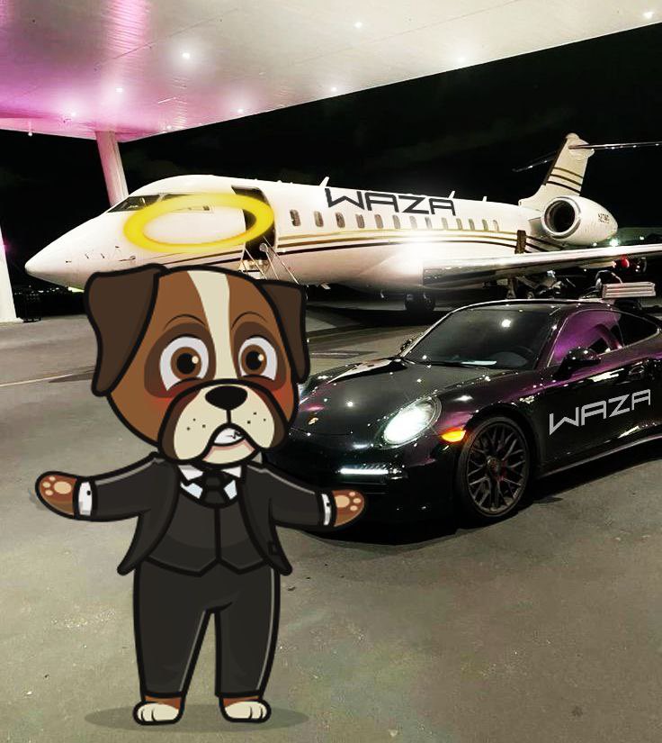 Join us in creating something distinct by grabbing some $WAZA bags 💰 in your wallet 💳

🚀🔋 : doggy.market/waza

Join our Community: t.me/Wazadrc20

COME FEEL THE WAZA VIBES 💥🫵🏽

#WAZA #DRC20 #DOGINALS