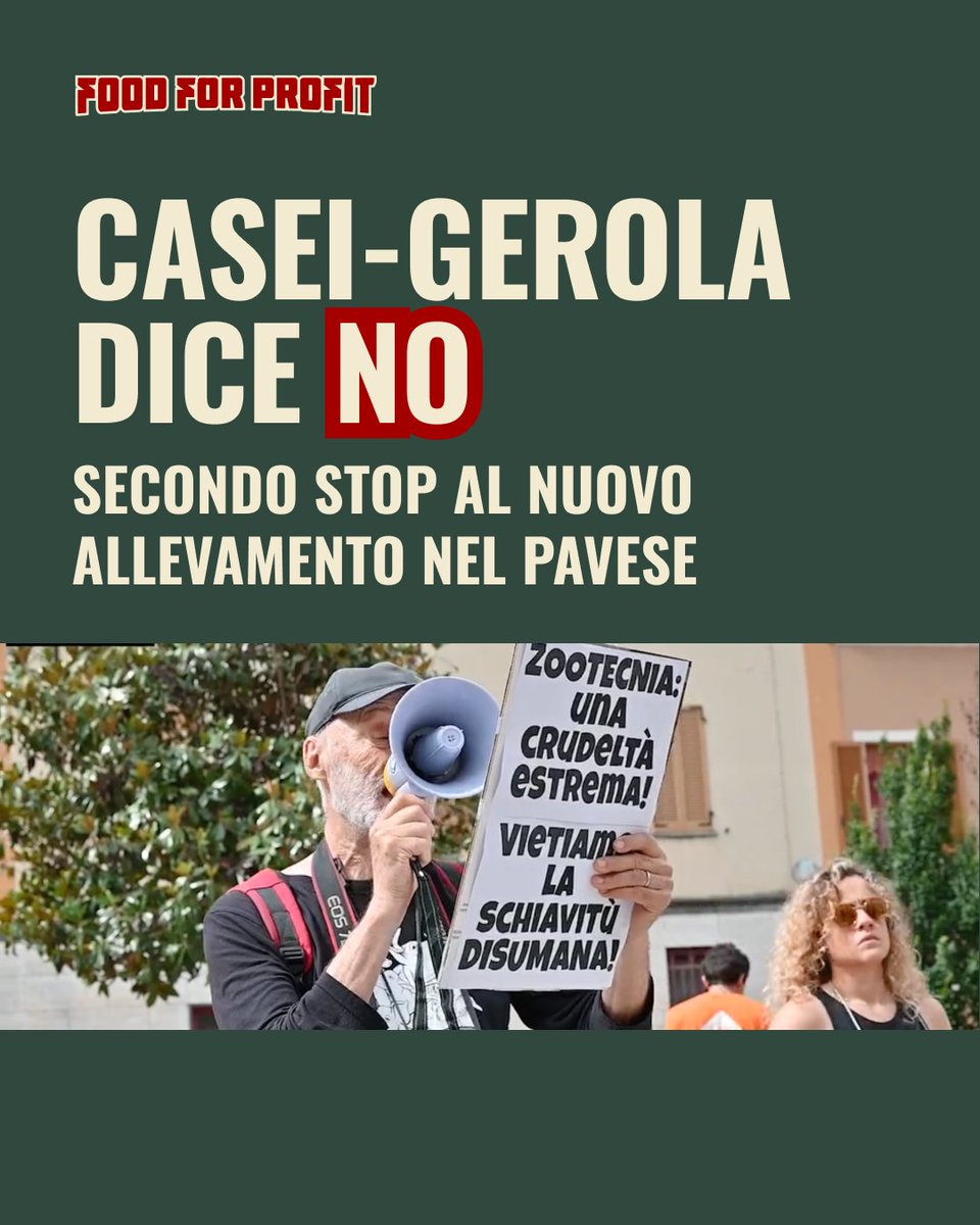 🔴La proposta per la costruzione di un nuova struttura intensiva di galline aveva già ricevuto il primo stop, ora la vittoria è più vicina! 
La Provincia ha bloccato questo progetto perché non rispetta le regole del territorio e presenta rischi ambientali👉telecitynews24.it/politica/casei…