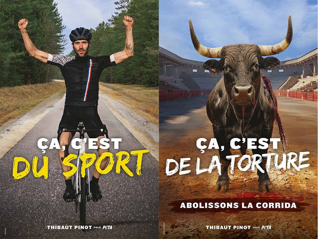 La corrida n'est pas un sport, c'est de la torture ! 

Il est plus qu'urgent d'abolir ce loisir morbide, déjà interdit sur le grande majorité du territoire, mais qui perdure dans certains départements au nom d'une prétendue tradition... 
francebleu.fr/infos/societe/…