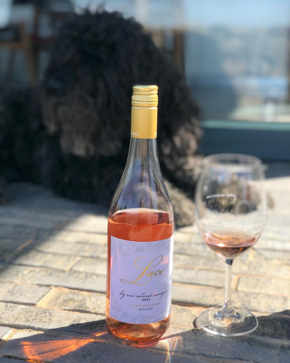 TsepangMolisana's tweet photo. Pardon Me, I Wasn’t Familiar With Your Game
Lace by @Almenkerk is a lifestyle collection of Estate wines from the @winesofelgin property
Lace Dry Rosé 2023 has an intriguing savoury character.
It puts its best paw forward. Rosé any day,
#Almenkerk
#InMyKitchenPod https://t.co/QgJOq97K7i