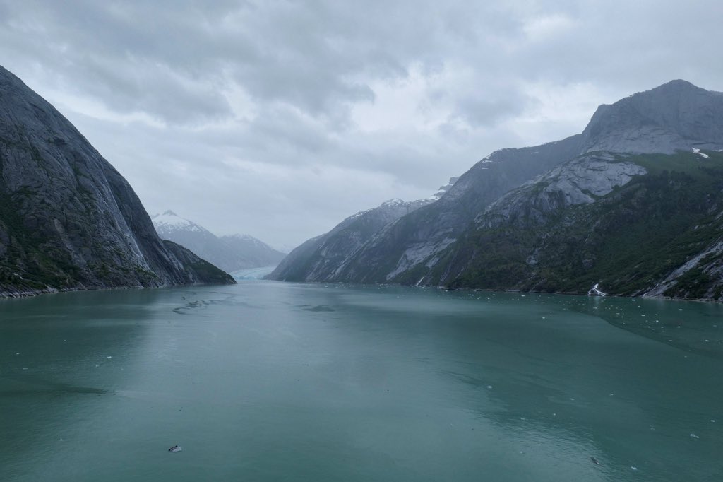 Anthony Garone tweet media