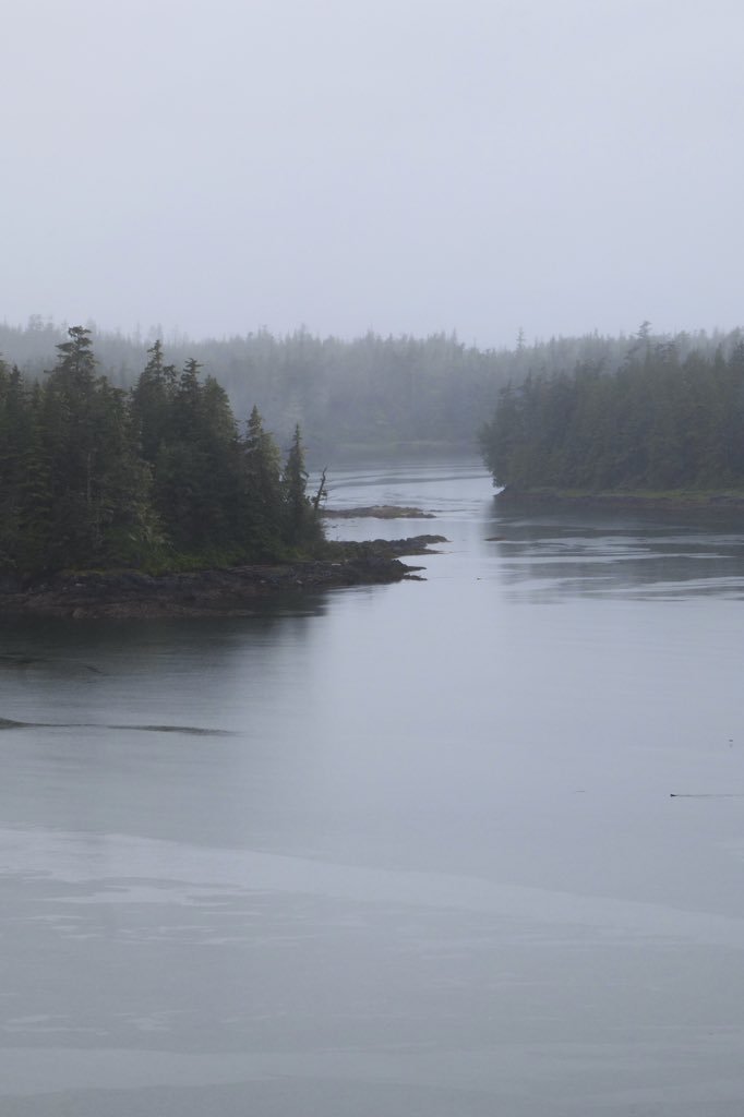 Anthony Garone tweet media