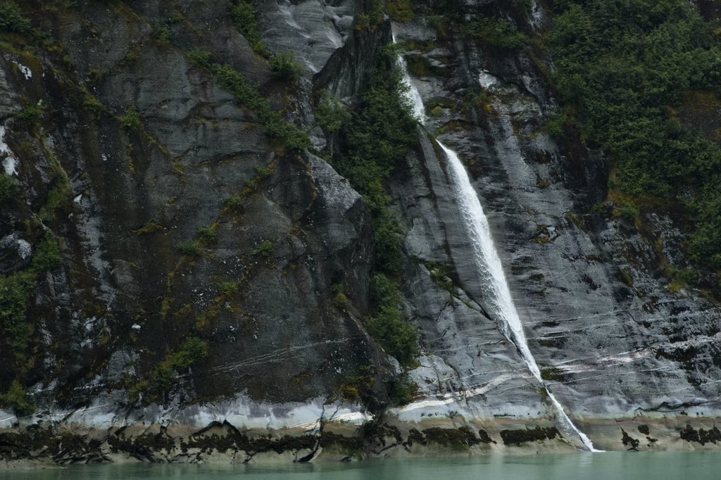 Anthony Garone tweet media