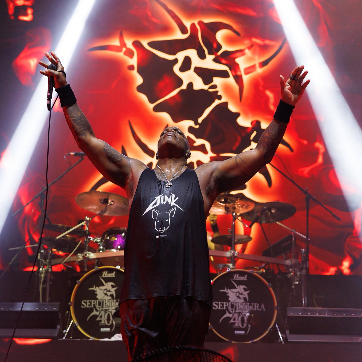 SEPULTURA tweet media