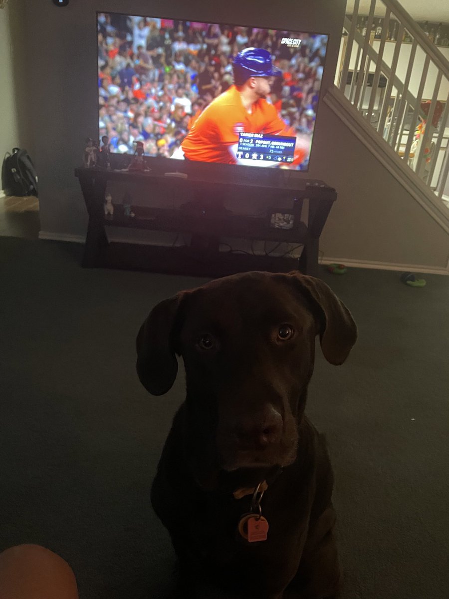 Can you tell I’ve missed my <a href="/BurlingtonBees/">Burlington Bees</a> ? Been watching <a href="/astros/">Houston Astros</a> but now they are on a break. SO VERY GLAD to hear <a href="/sample_mail/">Liam Sample PxP</a> &amp; <a href="/Samuel_Egan21/">Samuel Egan</a> &amp; to look for <a href="/emilymadelyn_/">emily dear</a> <a href="/rachf03/">Rachel Fischer</a> <a href="/oliviaraustin/">Olivia Austin</a> do there thing!! Let’s Go Bees! ⚾️💙🐝