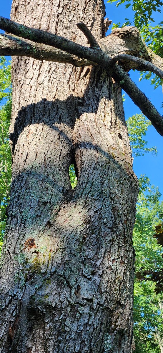 Saw this cool thing out on my bike ride this morning.