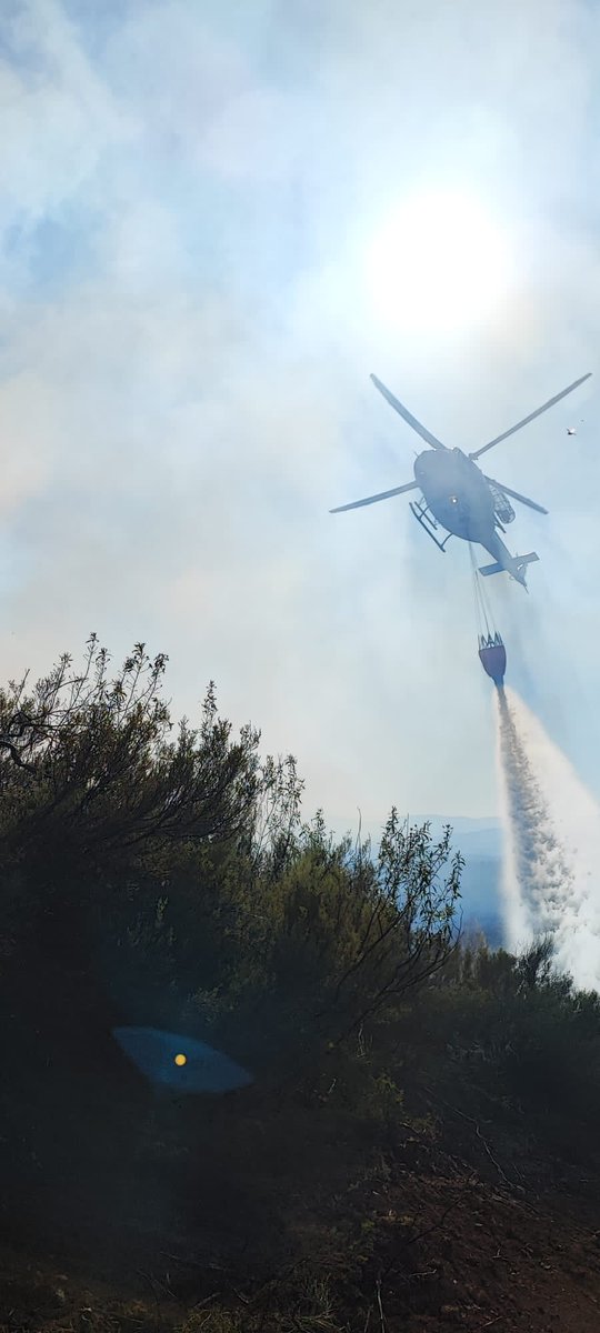 AT_Brif's tweet photo. 19:44🎥#IFPozueloDeZarzón #Cáceres 

El equipo @BRIF_PINO se retira a su base después de trabajar en la extinción del incendio junto a medios @PLANINFOEX.

El incendio lo ha perimetrado una bulldozer @EMIF_IIF, permanecen refrescando medios aéreos y 🚒@PLANINFOEX puntos calientes https://t.co/iVdm2o8EK2