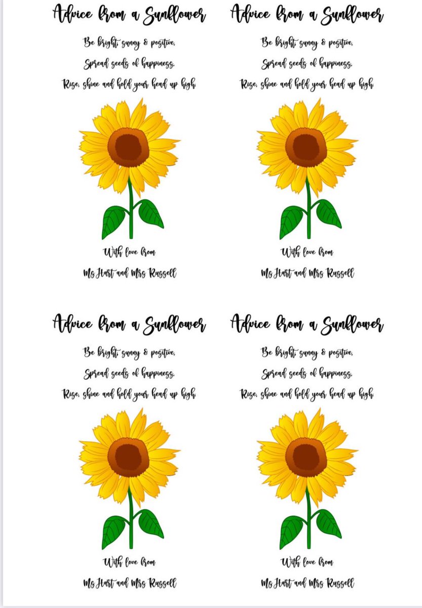 msjohart's tweet photo. It’s that time of year again! 🌻🌻🫶 https://t.co/0XsfN60Ojr