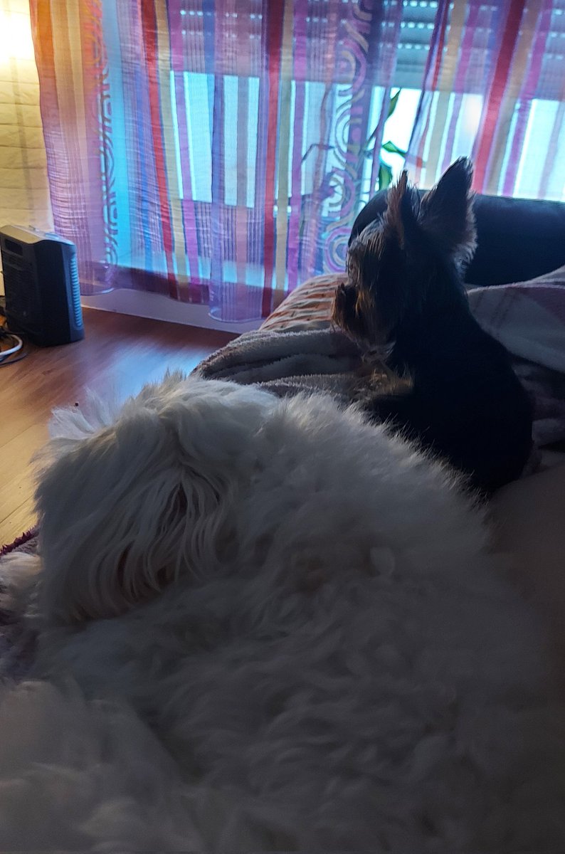 HangryHarto tweet media