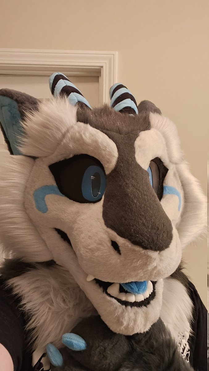 Serg Derg Supreme tweet media