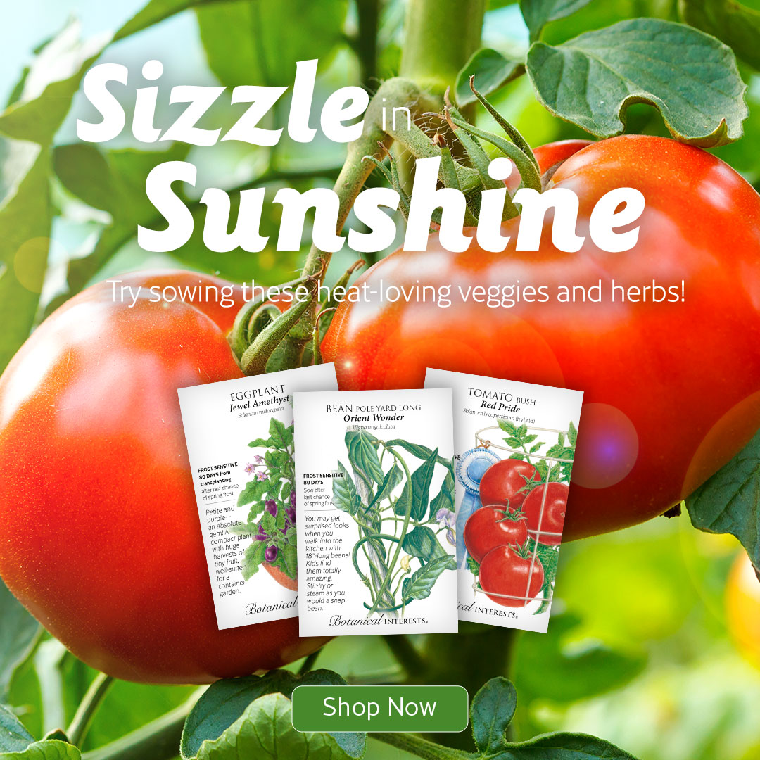 Botanical Interests 🌻 tweet media