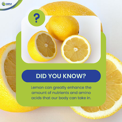 Tgemhc's tweet photo. Did you know lemon can greatly enhance the amount of nutrients and amino acids that our body can take in?.
#lemon #citrus #health#healthcare #health #fruits #healthyliving #healthymeals #tgemhealthcare https://t.co/uYwgJLb8k5