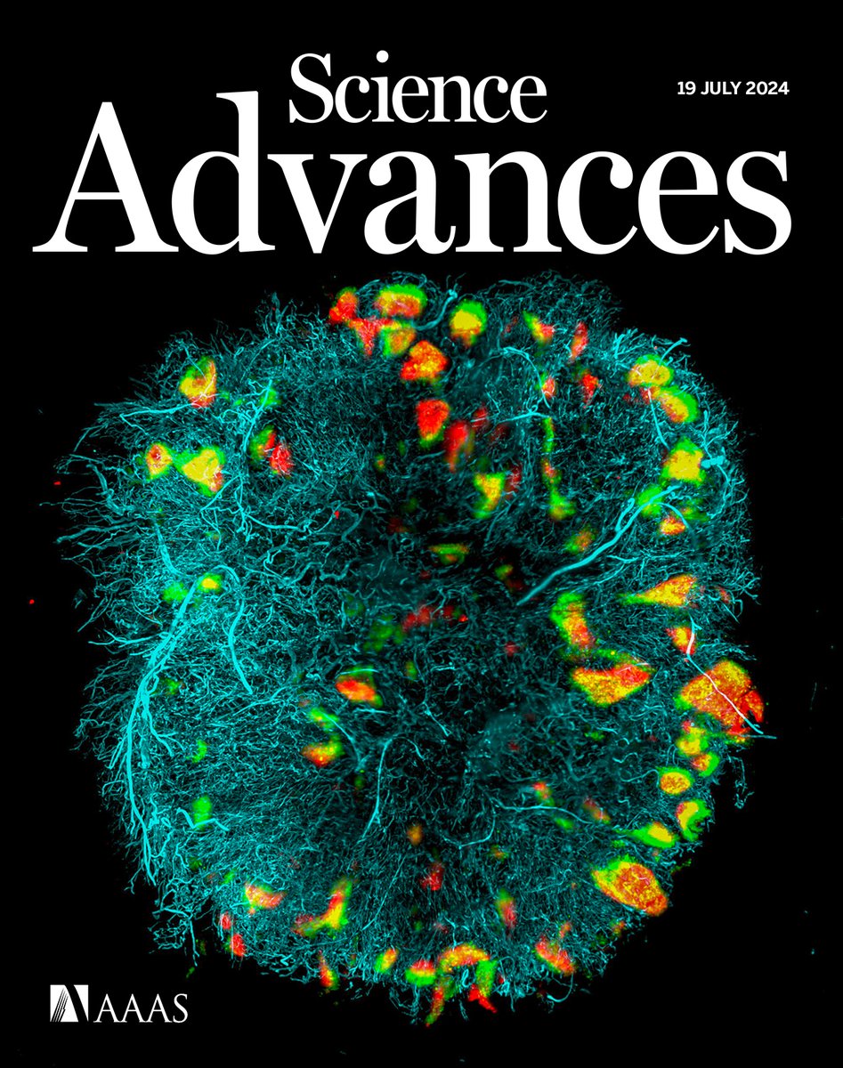 Science Advances tweet media