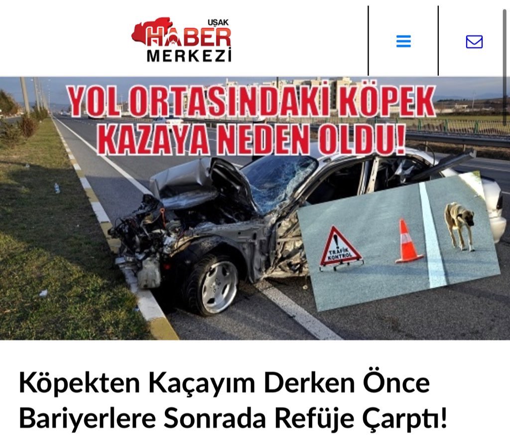 Başıboş Köpek Sorunu Çözülecek.

 #MilletYasayaEvetDiyor
#DeryaPınarYalnızDeğildir