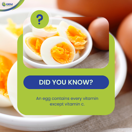 Tgemhc's tweet photo. Did you know an egg contains every Vitamin except Vitamin C. #eggyolk #eggwhite #boiledeggs #health #healthcare #health #eggs #healthyliving #healthymeals #tgemhealthcare https://t.co/ylG1o2lLhf
