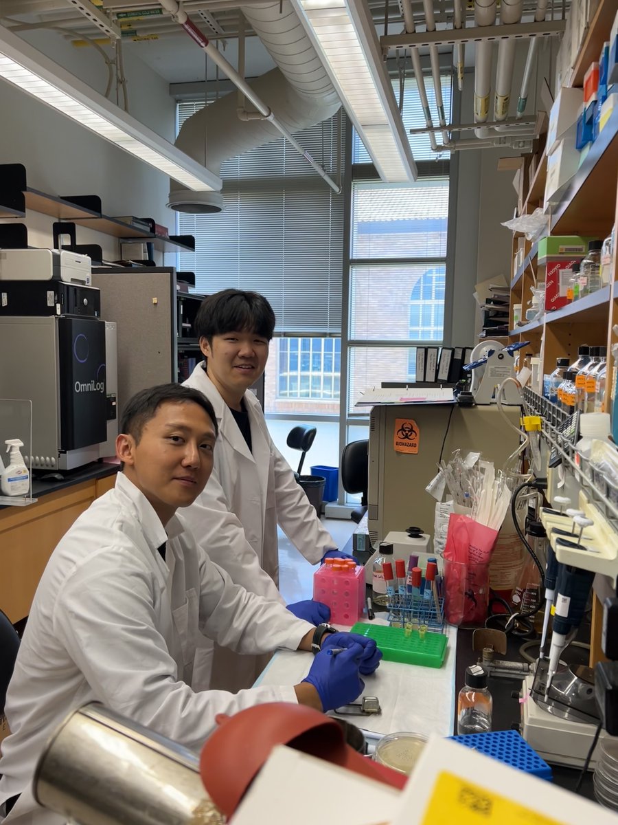 PayneLabUT's tweet photo. This summer, the lab is happy to host Eunhwan and Donggyu from Inha University, along with their PI Prof. Shin! 🥳 

Their research questions are related to understanding carbon metabolism in enteric bacteria!🦠🧫

Welcome to @UTexasResearch @TexasScience @ut_mbs  🥳🥳 https://t.co/RxF3dANrke