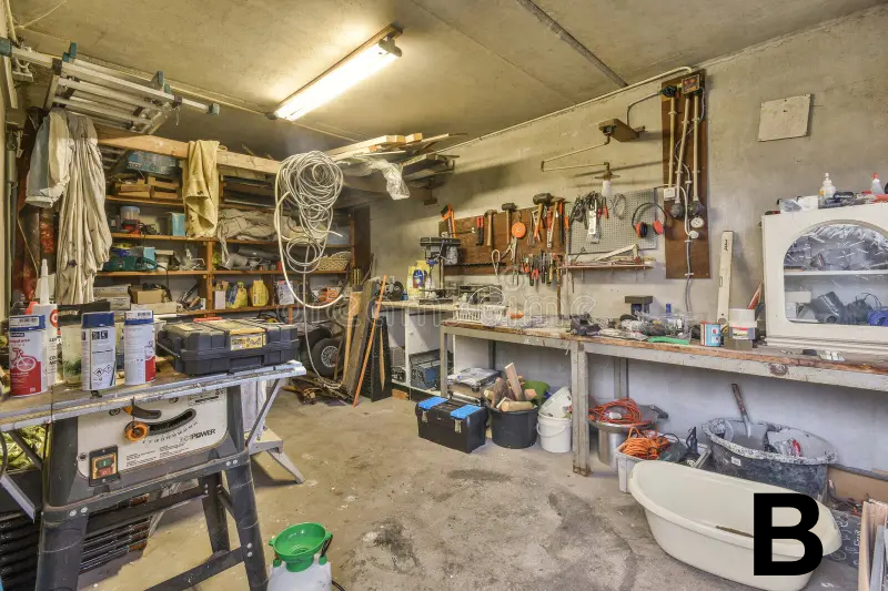 Shannon Jean tweet media