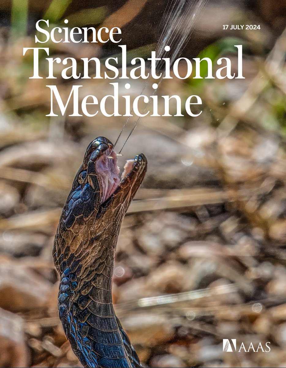 Our new paper on understanding and inhibiting spitting cobra venom is featured on the cover of science translational medicine. Thanks to @wolfgangwuster for the amazing cover image! The paper is here science.org/doi/10.1126/sc…