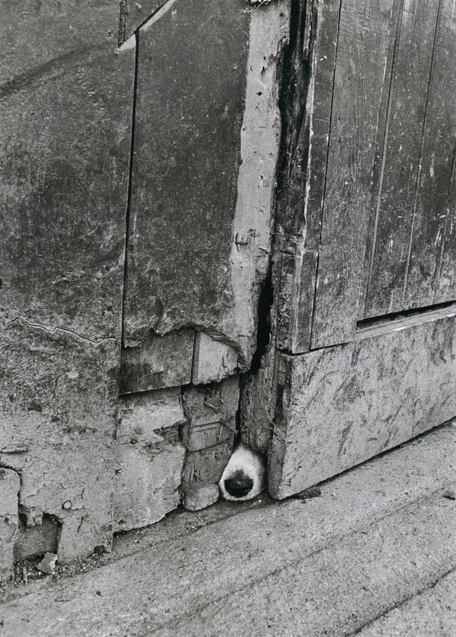 vintagestuff4's tweet photo. Jill Freedman https://t.co/8SAOSkfWSQ