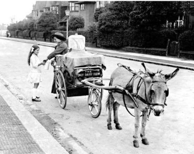 dionysius_80's tweet photo. Milk girl and donkey became a feature of London suburbs during the first world war, replacing the milkman and horse who both went on active service. https://t.co/o8RSC6dKM0