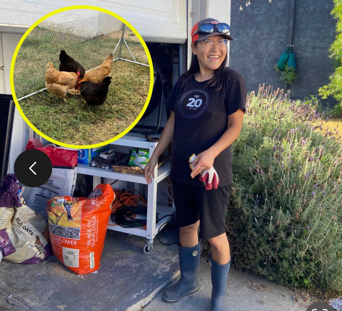 On an all new episode, <a href="/funnyhelenhong/">Helen Hong</a> tells you all you need to know about her chickens so you can fall asleep. The conversation about Mike the Headless Chicken might wake you up a bit though.

maximumfun.org/episodes/sleep…