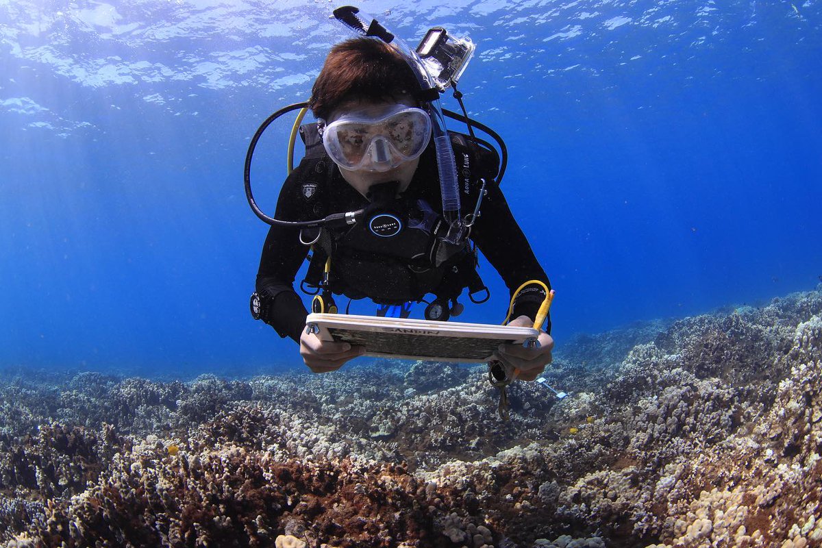 Scripps Institution of Oceanography (@scripps_ocean) on Twitter photo 🪸 Join Scripps Oceanography alum, marine biologist & #CoralReef expert <a href="/OrionMcCarthy/">Orion McCarthy</a> for a conversation diving into how scientists with Scripps are using 3D imaging technology to study how reefs are changing over time.
📍 <a href="/MauiOceanCenter/">Maui Ocean Center</a>
🔗 bit.ly/3xYicEf
📅 July 23 🪸 Join Scripps Oceanography alum, marine biologist & #CoralReef expert <a href="/OrionMcCarthy/">Orion McCarthy</a> for a conversation diving into how scientists with Scripps are using 3D imaging technology to study how reefs are changing over time.
📍 <a href="/MauiOceanCenter/">Maui Ocean Center</a>
🔗 bit.ly/3xYicEf
📅 July 23