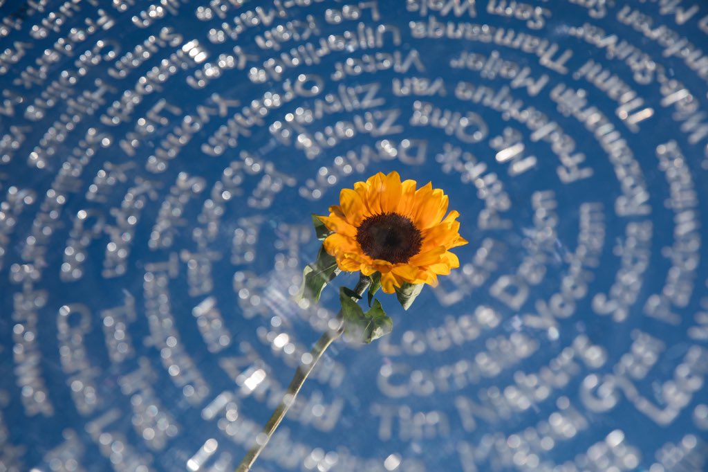 1/3
Hoje, 17 de julho, marcamos 10 anos da tragédia do voo #MH17. 298 vidas inocentes, incluindo 196 cidadãos holandeses, foram perdidas sobre a Ucrânia. Uma década depois, a dor ainda é profunda. Nossos pensamentos estão com as famílias e entes queridos. #NuncaEsqueceremos