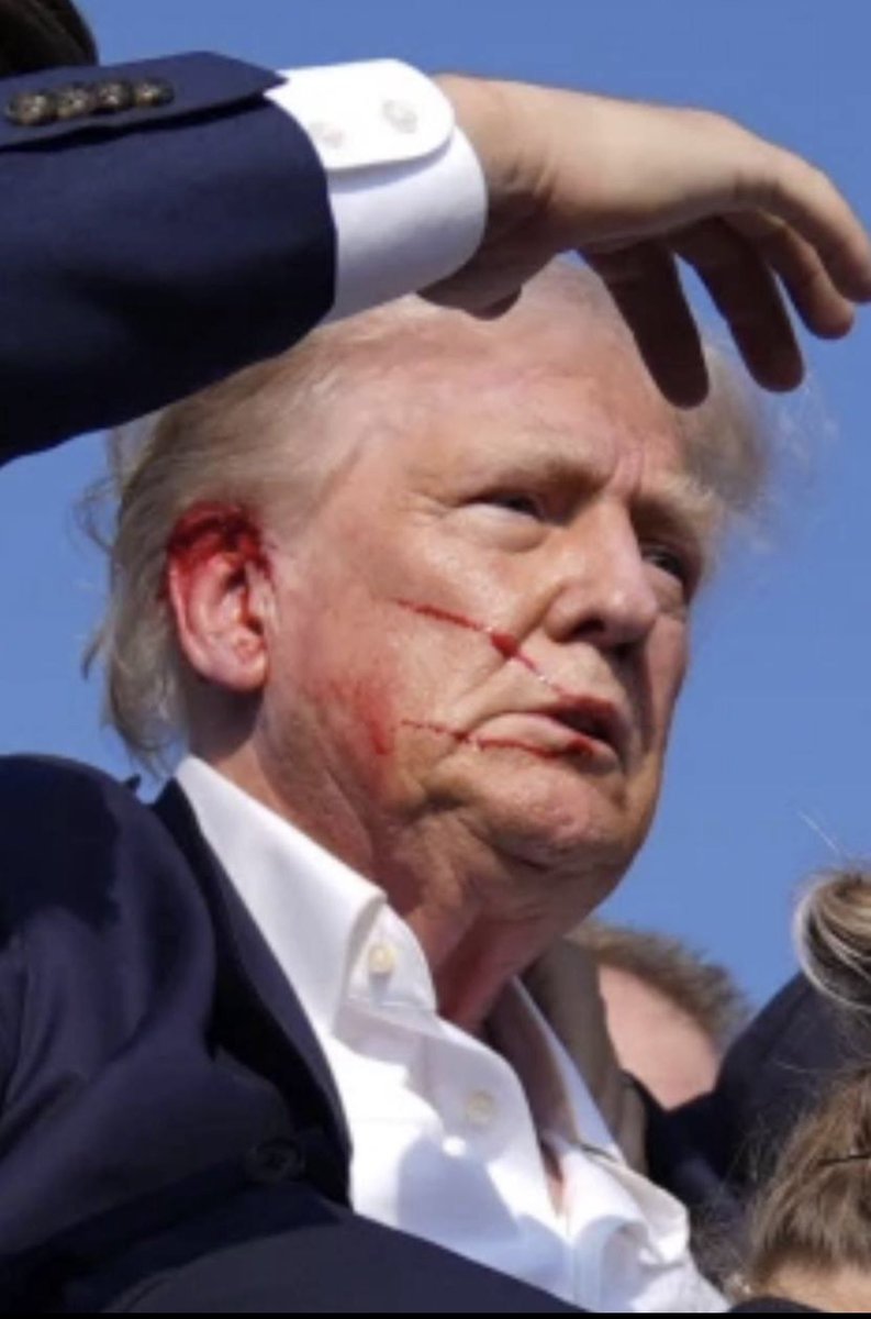 The man in the arena.