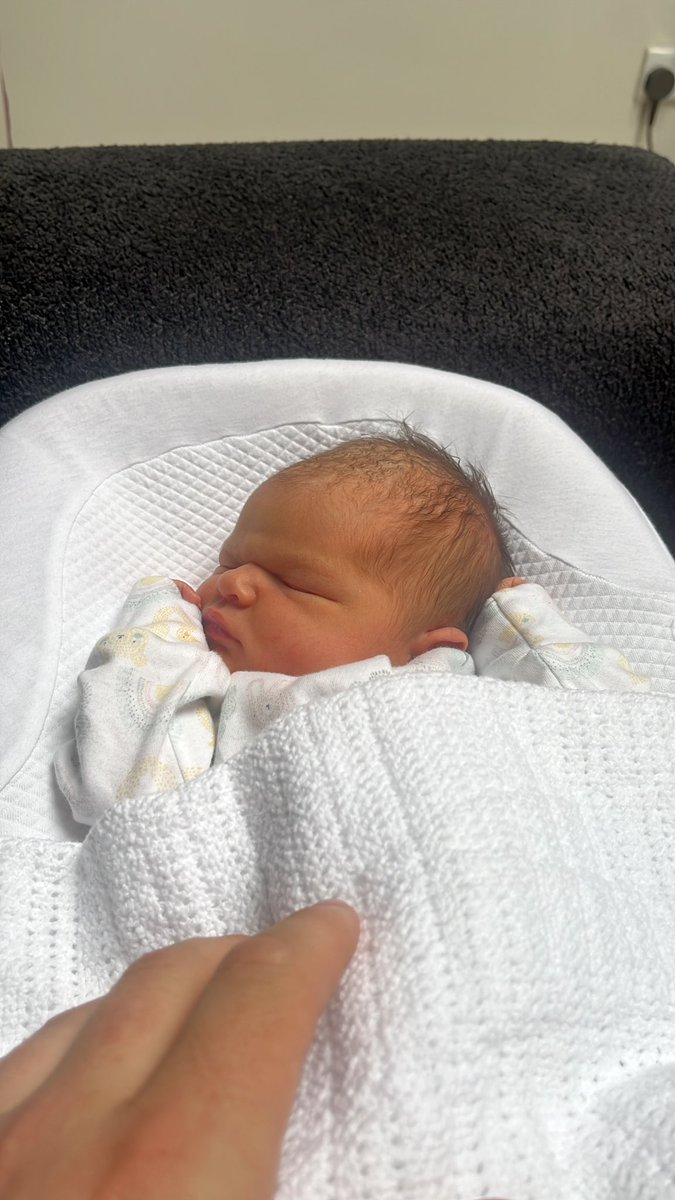 Joe Zeverona tweet media