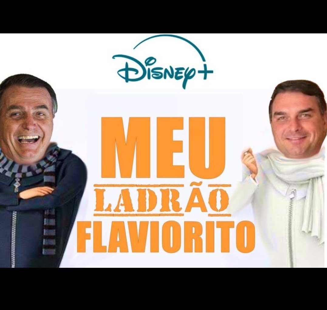 Bolsonaro ladrão
