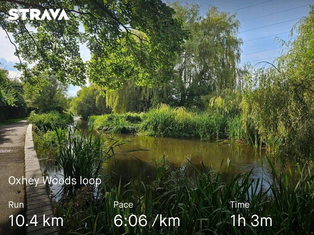 Mark Wardell tweet media