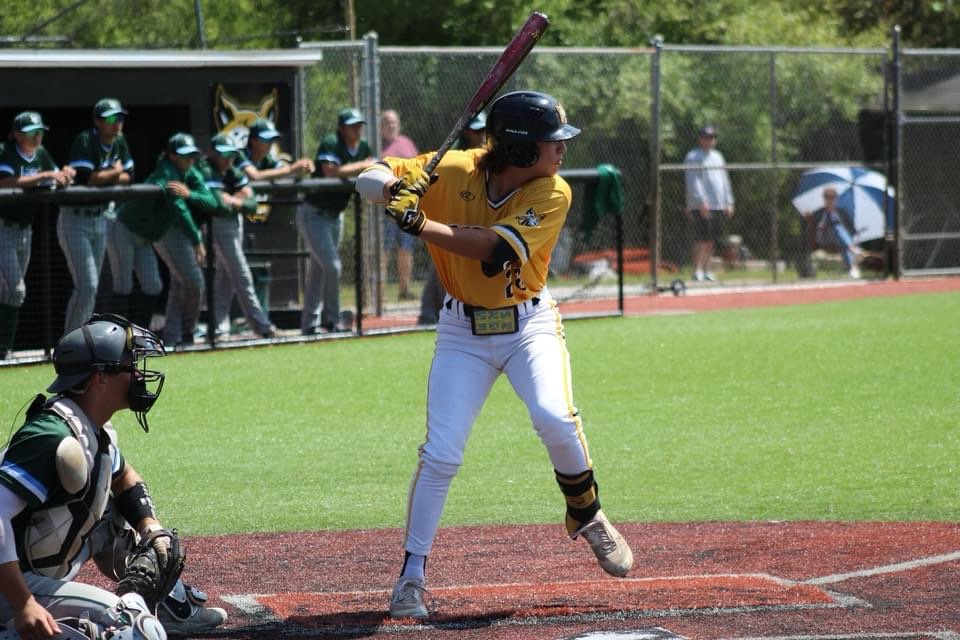 lyndon.coleman tweet media