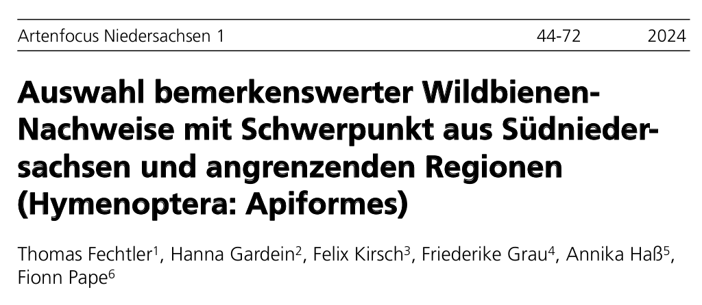 Biologische Schutzgemeinschaft (@bsggoettingen) on Twitter photo Wildbienen-Artikel erschienen!
Mit Nachweisen von 25 seltenen & gefährdeten 🐝🐝
Autor*innen: Thomas Fechtler, <a href="/HGardein/">Hanna Gardein</a> vom <a href="/JKI_Bund/">Julius Kühn-Institut</a>, Felix Kirsch vom <a href="/Thuenen_aktuell/">Thünen-Institut</a>, Friederike Grau & Annika Haß von der @FuncAgroEco <a href="/uniGoettingen/">Uni Göttingen</a> & Fionn Pape.
➡️researchgate.net/publication/38… Wildbienen-Artikel erschienen!
Mit Nachweisen von 25 seltenen & gefährdeten 🐝🐝
Autor*innen: Thomas Fechtler, <a href="/HGardein/">Hanna Gardein</a> vom <a href="/JKI_Bund/">Julius Kühn-Institut</a>, Felix Kirsch vom <a href="/Thuenen_aktuell/">Thünen-Institut</a>, Friederike Grau & Annika Haß von der @FuncAgroEco <a href="/uniGoettingen/">Uni Göttingen</a> & Fionn Pape.
➡️researchgate.net/publication/38…
