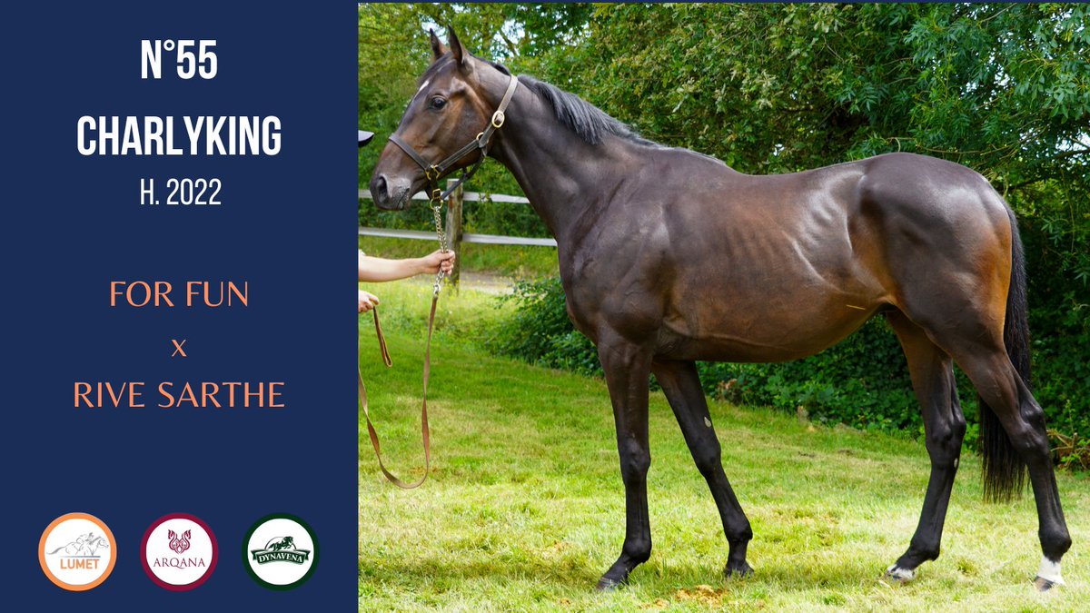 ShowLumet's tweet photo. 📸Catalogue 2024 - Show Lumet @InfoArqana

➡N°55 - 𝗖𝗛𝗔𝗥𝗟𝗬𝗞𝗜𝗡𝗚. H. 2022 - FOR FUN x RIVE SARTHE

Il est né chez Jérémy Buez

🔎 https://t.co/no2BMR9uAm

cc @haraslahetraie https://t.co/9KuQ2ZOcw8
