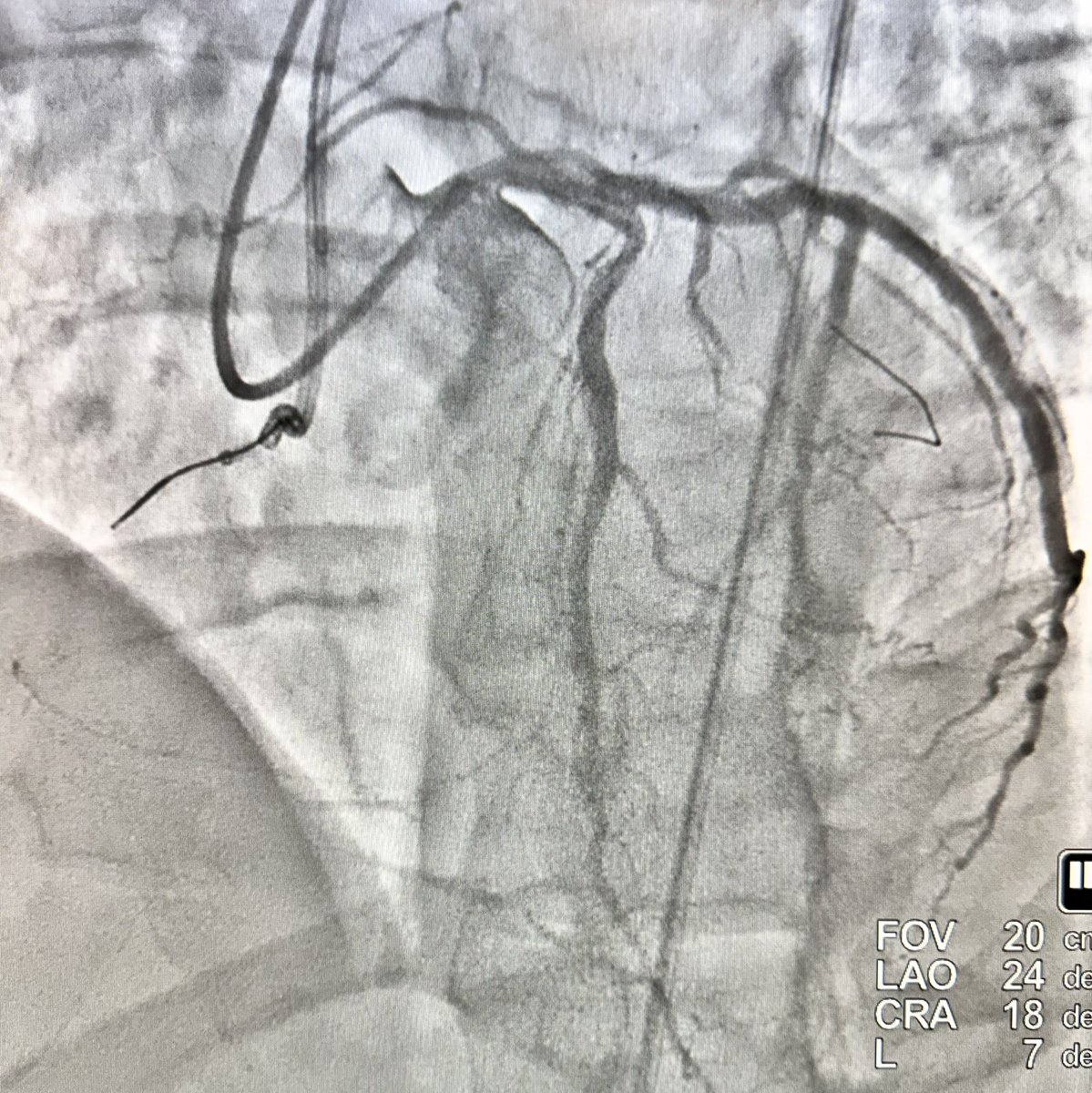 Jon George tweet media