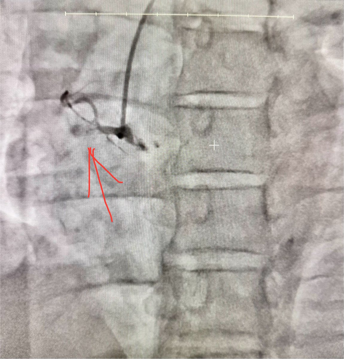 Jon George tweet media