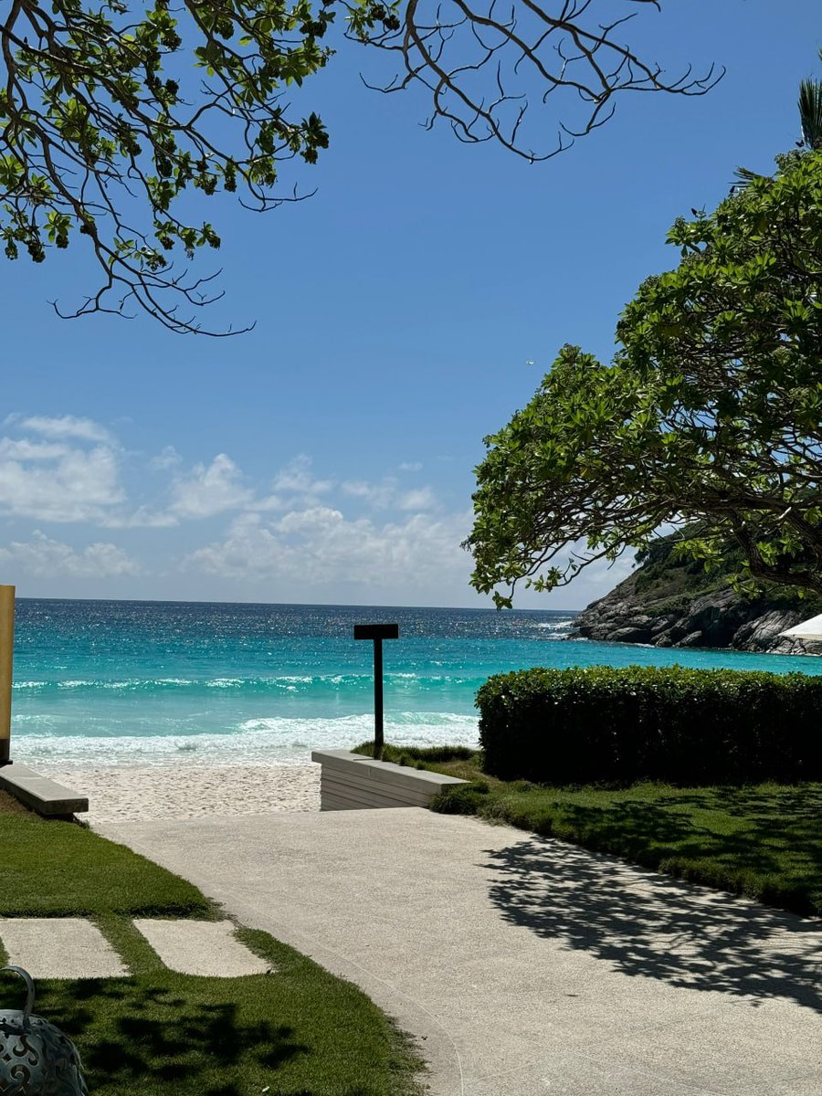 Predatorjeffy's tweet image. 