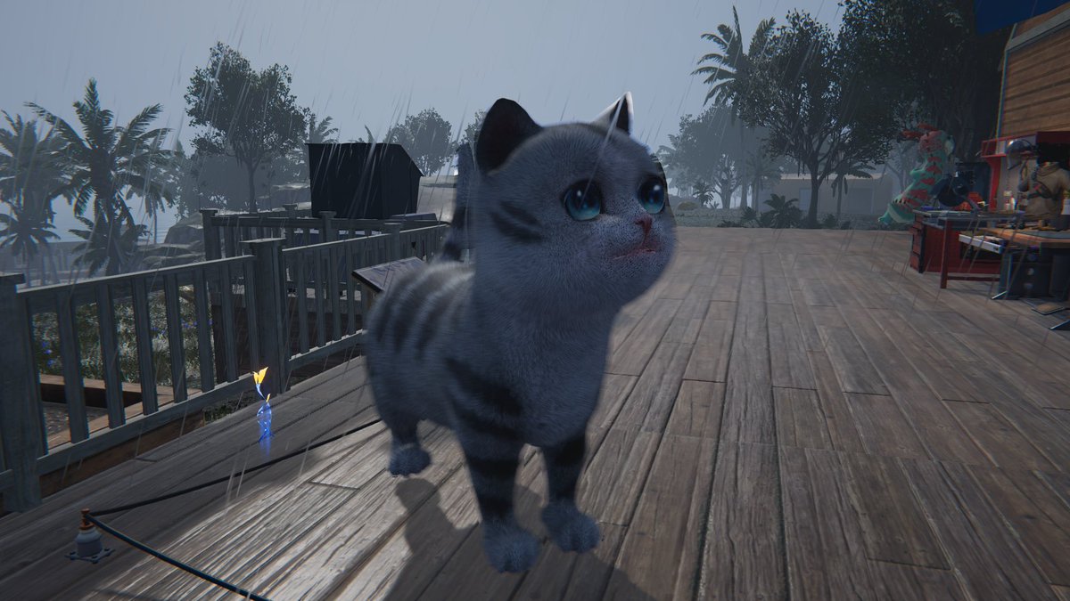 Jinxanity's tweet image. That’s one big kitty 🐱