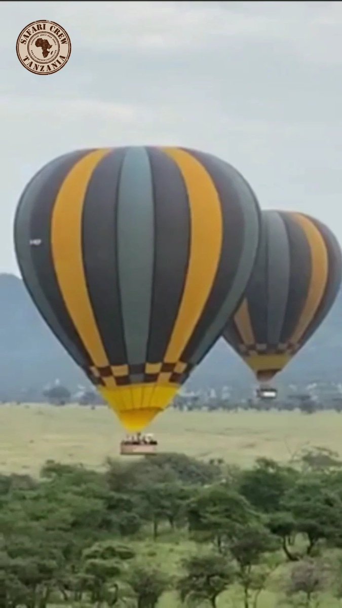 Tanzania safari

#lions #elephant balloon safari over the #Serengeti 
such a wonderful experience🇹🇿

#travel #wildlife #Tanzania #travelexperience #TravelInspiration
#bucketlisttravel #voyage #journey #holidays