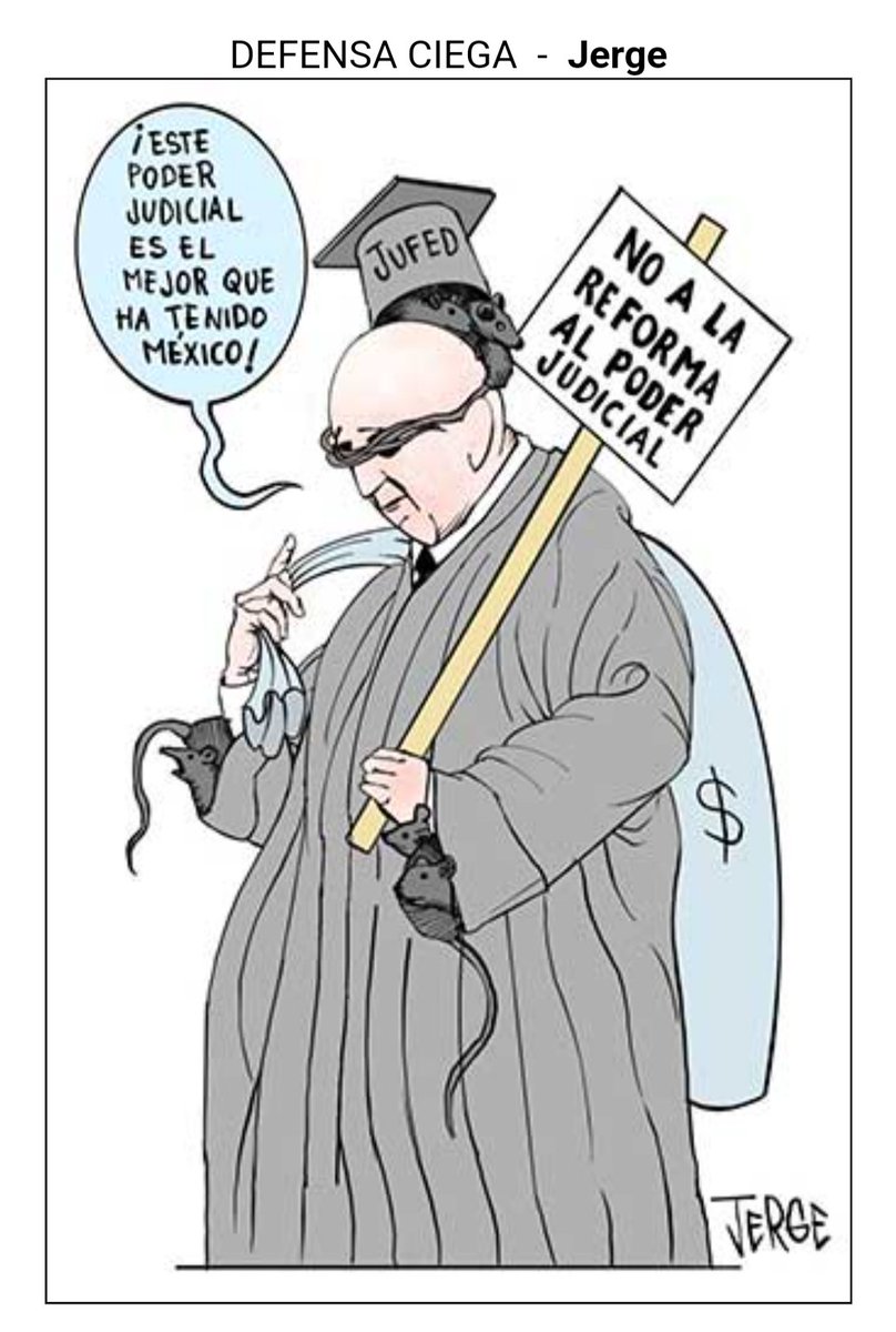 powerdorado_88's tweet image. #SiALaReformaAlPoderJudicial