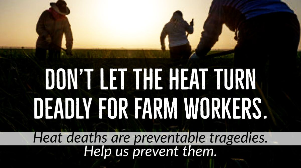 UFWupdates's tweet photo. Don't let the heat turn deadly for farm workers. Donations will help us keep doing everything we can to save lives.

https://t.co/eyqigisnCm

#WeFeedYou #CALOR https://t.co/k8OpS4l9XW